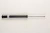 BILSTEIN BNE-B276 (BNEB276) Shock Absorber
