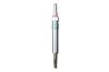 CHAMPION CH175/002 (CH175002) Glow Plug