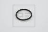 PE Automotive 266.687-00A (26668700A) Seal Ring