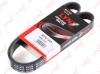 LYNXauto 7PK1095 V-Ribbed Belts