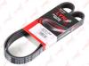 LYNXauto 7PK1283 V-Ribbed Belts