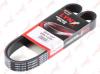 LYNXauto 8PK1225 V-Ribbed Belts