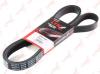 LYNXauto 8PK2410 V-Ribbed Belts