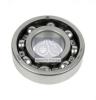 DT 2.44830 (244830) Ring Gear, crankshaft