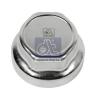 DT 10.10612 (1010612) Cap, wheel bearing