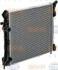 BEHR 8MK376700-384 (8MK376700384) Radiator, engine cooling