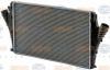BEHR 8ML376700-674 (8ML376700674) Intercooler, charger
