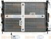 BEHR 8MK376700-684 (8MK376700684) Radiator, engine cooling