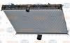 BEHR 8MK376745-134 (8MK376745134) Radiator, engine cooling