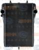 BEHR 8MK376765-141 (8MK376765141) Radiator, engine cooling