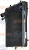 BEHR 8MK376765-141 (8MK376765141) Radiator, engine cooling