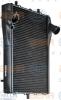 BEHR 8MK376765-141 (8MK376765141) Radiator, engine cooling