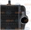 BEHR 8MK376765-141 (8MK376765141) Radiator, engine cooling