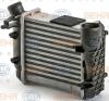 BEHR 8ML376900-351 (8ML376900351) Intercooler, charger
