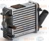 BEHR 8ML376900-361 (8ML376900361) Intercooler, charger