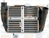 BEHR 8ML376900-391 (8ML376900391) Intercooler, charger