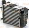 BEHR 8ML376900-391 (8ML376900391) Intercooler, charger