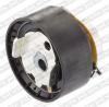 SNR GT35941 Tensioner Pulley, timing belt