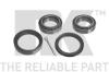 NK 752207 Wheel Bearing Kit
