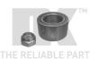 NK 753205 Wheel Bearing Kit