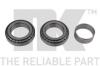 NK 762552 Wheel Bearing Kit