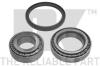 NK 763311 Wheel Bearing Kit