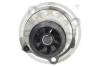 OPTIMAL AQ-1064 (AQ1064) Water Pump