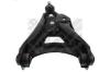 MAPCO 19138 Track Control Arm