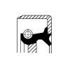CORTECO 12014746B Shaft Seal, differential