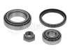 MEYLE 1000980028/S (1000980028S) Wheel Bearing Kit