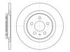 REMSA 6736.00 (673600) Brake Disc