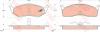 TRW GDB1236 Brake Pad Set, disc brake