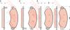 TRW GDB1744 Brake Pad Set, disc brake