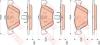 TRW GDB1815 Brake Pad Set, disc brake