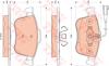 TRW GDB1880 Brake Pad Set, disc brake