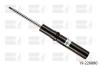 BILSTEIN 19-226880 (19226880) Shock Absorber