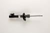 BILSTEIN 22-041135 (22041135) Shock Absorber