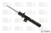 BILSTEIN 22-197672 (22197672) Shock Absorber