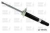 BILSTEIN 22-199492 (22199492) Shock Absorber