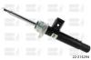 BILSTEIN 22-214294 (22214294) Shock Absorber