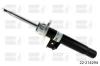 BILSTEIN 22-214294 (22214294) Shock Absorber