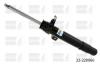 BILSTEIN 22-220066 (22220066) Shock Absorber