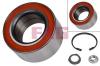 FAG 713667230 Wheel Bearing Kit
