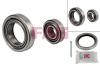 FAG 713697050 Wheel Bearing Kit
