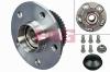 FAG 713613970 Wheel Bearing Kit