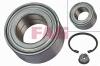 FAG 713631180 Wheel Bearing Kit