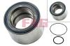 FAG 713645160 Wheel Bearing Kit