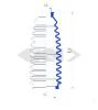 SPIDAN 83733 Bellow, steering