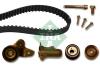 INA 530048010 Timing Belt Kit