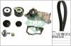 INA 530064030 Water Pump & Timing Belt Kit